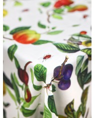 Tovaglia antimacchia Multifrutta var.4  - Misure Varie