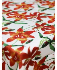 Tovaglia antimacchia Fresh var.4  - Misure Varie