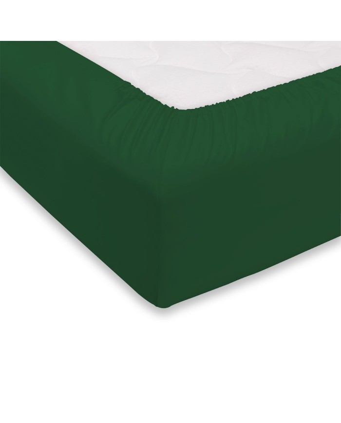 Lenzuolo sotto matrimoniale 100% cotone Maestri Cotonieri