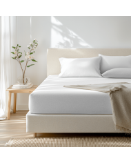 Completo lenzuola matrimoniale 100% cotone Maestri Cotonieri Olanda 4 federe