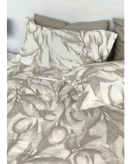 Completo lenzuola matrimoniale 100% cotone Maestri Cotonieri Olanda 4 federe