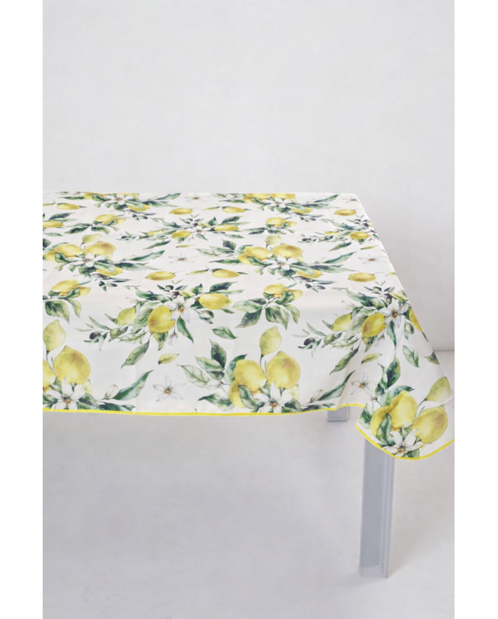 Tovaglia antimacchia Splash Delicious var.5  - Misure Varie