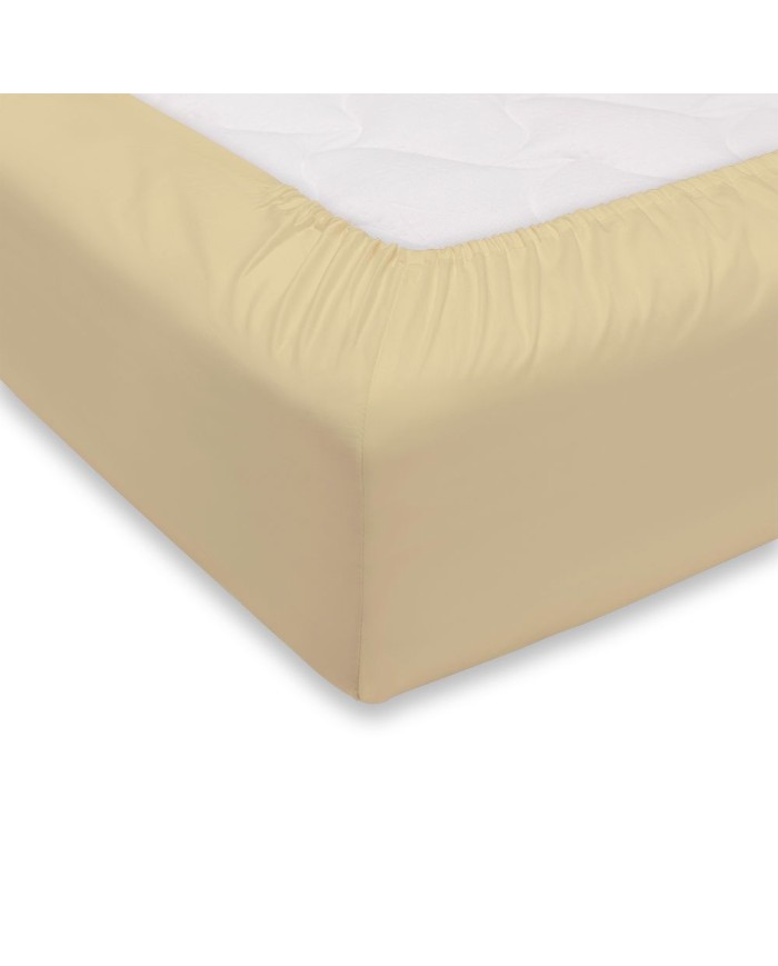 Lenzuolo sotto letto singolo Maestri Cotonieri