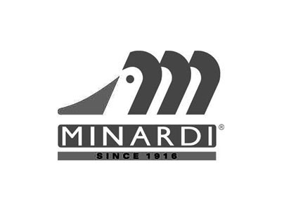 Minardi